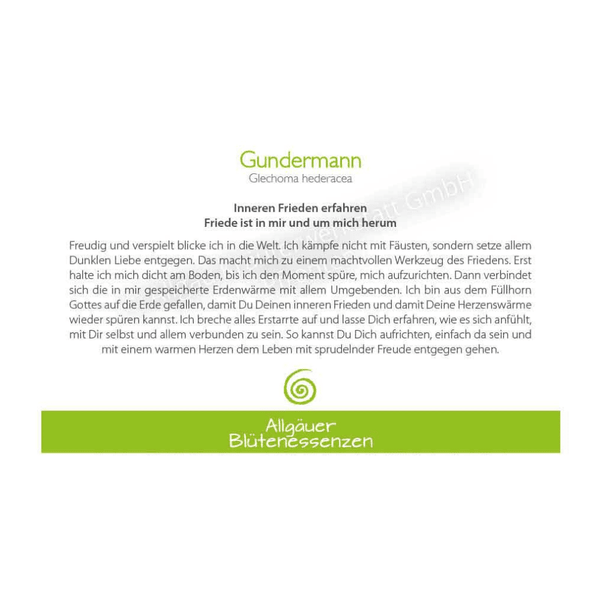 Blütenessenz I Innerer Frieden I Gundermann