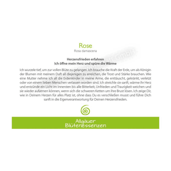 Blütenessenz I Herzensfrieden I Rose