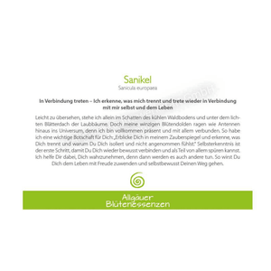 Blütenessenz I Verbindung I Sanikel