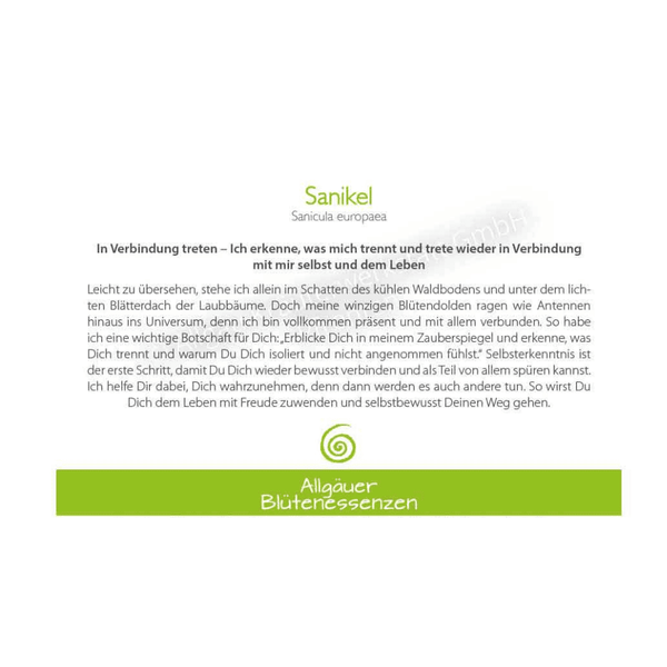 Blütenessenz I Verbindung I Sanikel