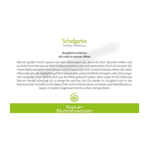 Blütenessenz I Ausgleich I Schafgarbe