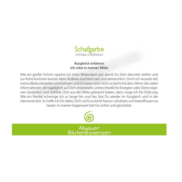 Blütenessenz I Ausgleich I Schafgarbe