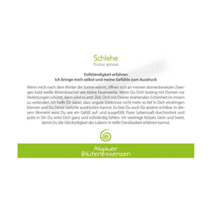 Blütenessenz I Vollständigkeit erfahren I Schlehe