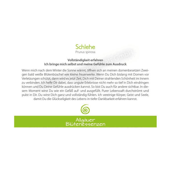Blütenessenz I Vollständigkeit erfahren I Schlehe