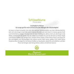Blütenessenz I Leichtigkeit I Schlüsselblume