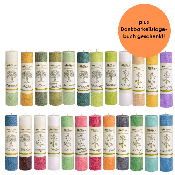 Fülle des Lebens I Heilkräuterkerzen I Bundle