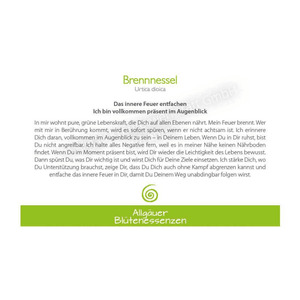 Blütenessenz I Inneres Feuer entfachen I Brennnessel