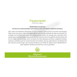 Blütenessenz I Weiblichkeit annehmen I Frauenmantel