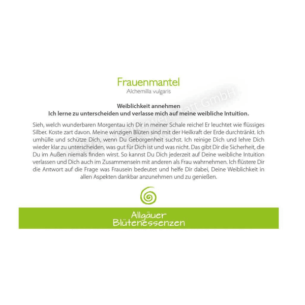 Blütenessenz I Weiblichkeit annehmen I Frauenmantel