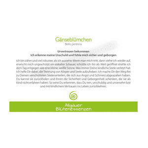 Blütenessenz I Urvertrauen bekommen I Gänseblümchen