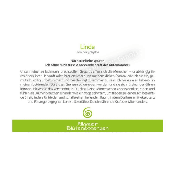 Blütenessenz I (Nächsten-)Liebe spüren I Linde
