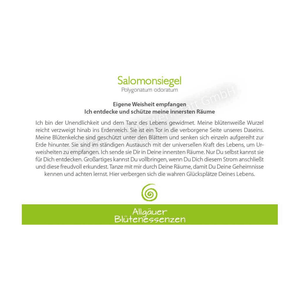 Blütenessenz I Eigene Weisheit empfangen I Salomonsiegel
