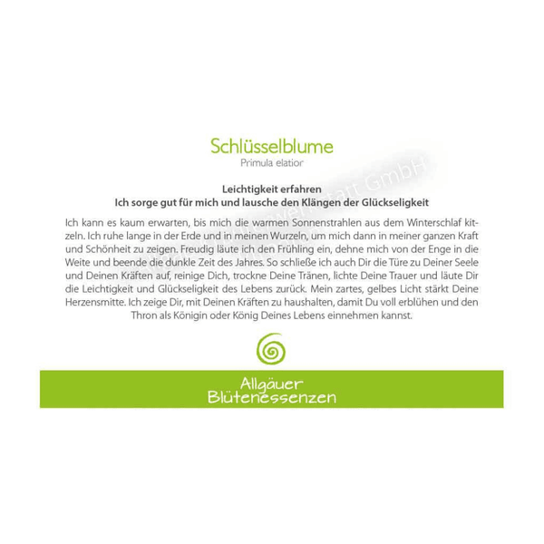 Blütenessenz I Leichtigkeit I Schlüsselblume