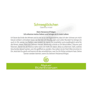 Blütenessenz I Dem Herzensruf folgen I Schneeglöckchen