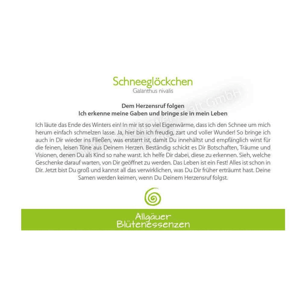 Blütenessenz I Dem Herzensruf folgen I Schneeglöckchen
