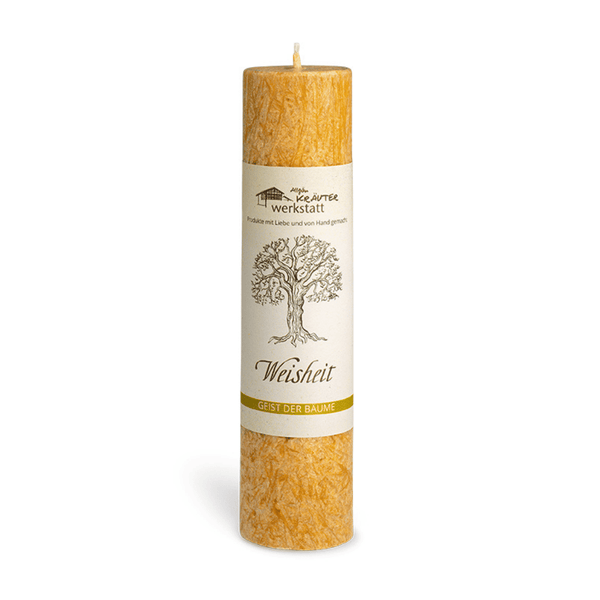 Buche Heilkräuterkerze | Weisheit