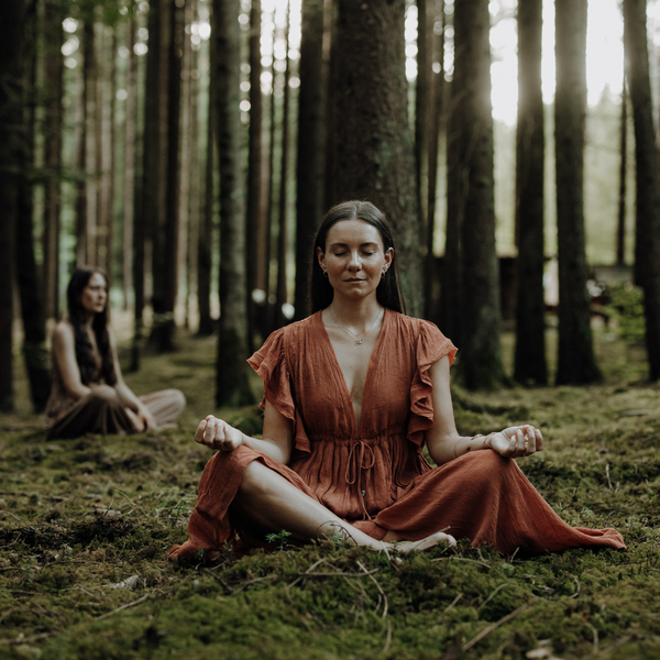 Dein Krafttier I geführte Meditation