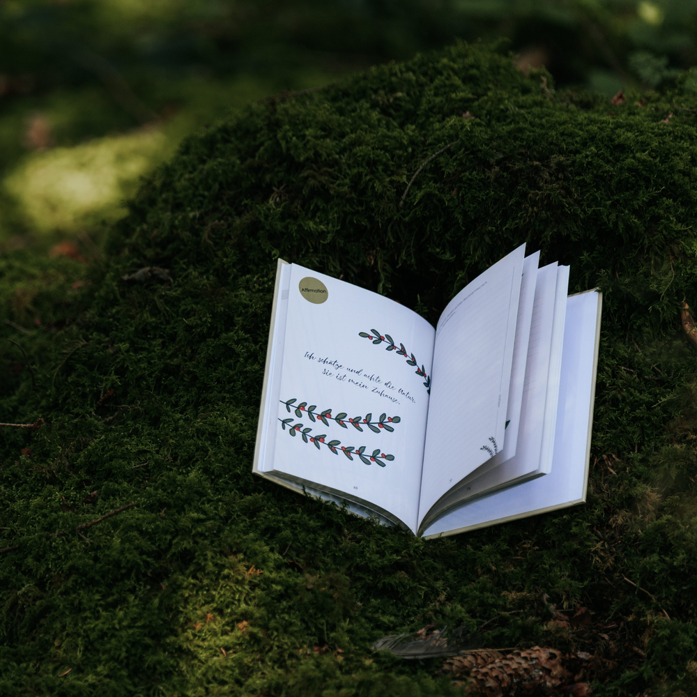 5er Bundle I Dein Rauhnachttagebuch